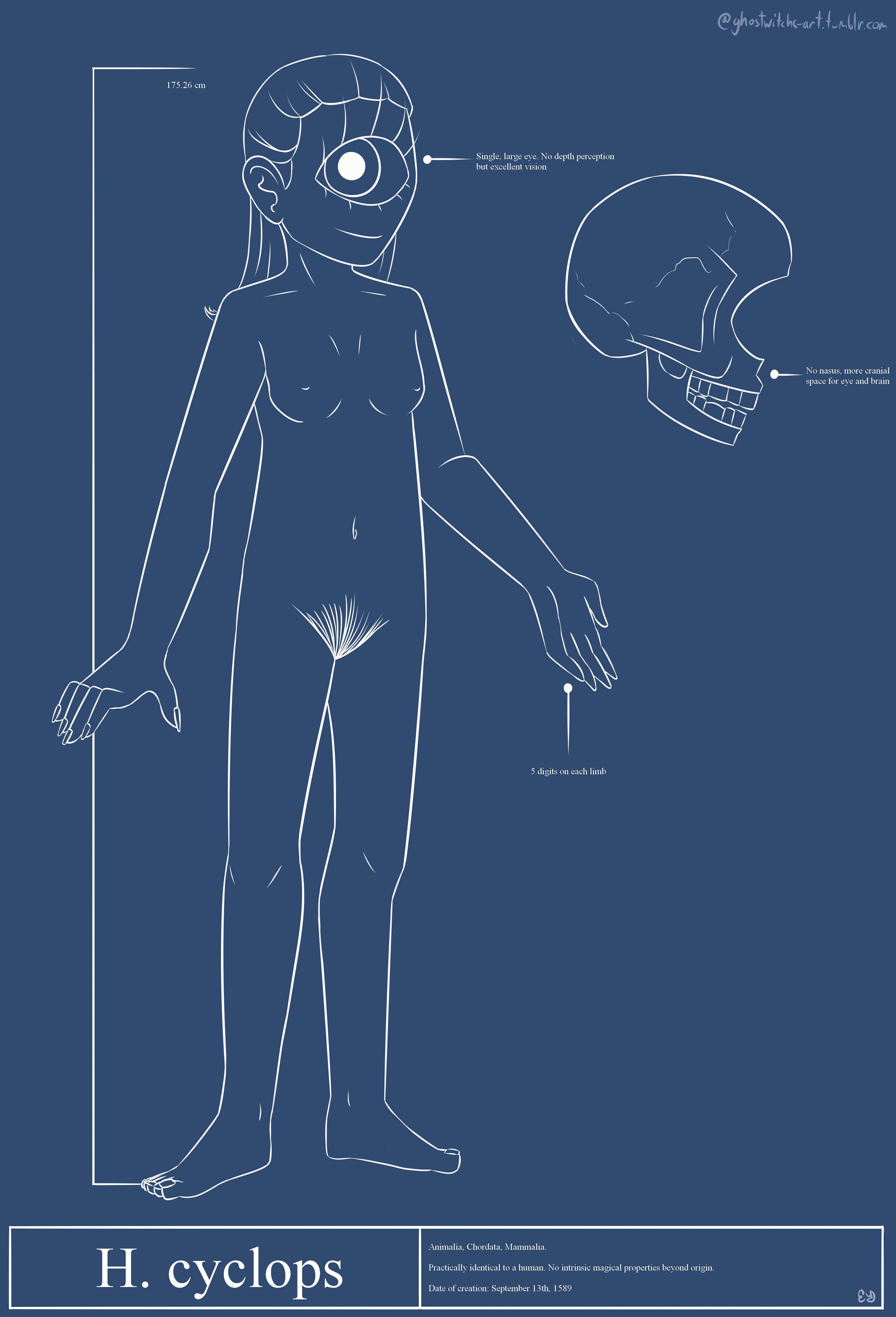 A drawing of Lucy stylized to look like a blueprint. Her species is listed as ''H. cyclops.''